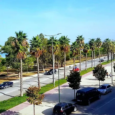 Sea View Te Shero *